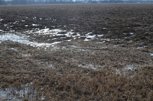Property photo 15 - East Allen County Land Auction - 40 Acres in 2 Tracts